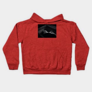 Wax Lugosi Kids Hoodie